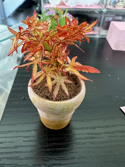 Handmade plant