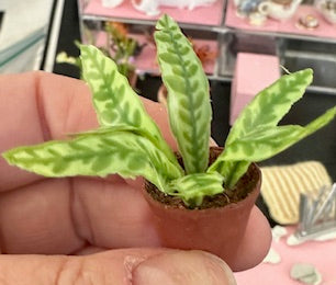 Handmade plant