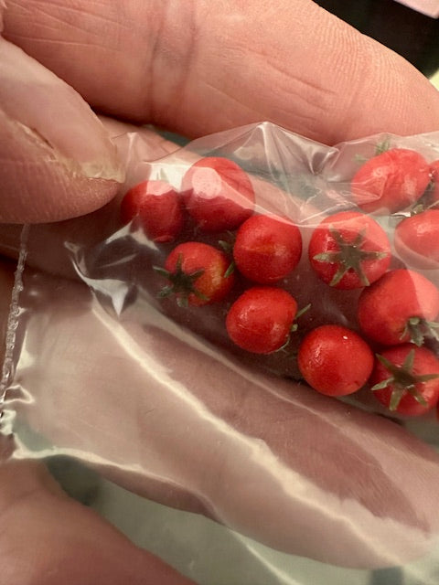 Handcrafted tomatoes-price is for 3