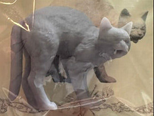 Paint it yourself cats