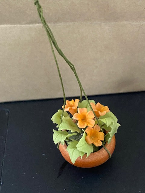 Assorted Hanging Plants