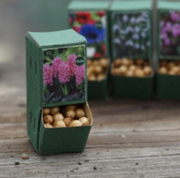 Box of Bulbs