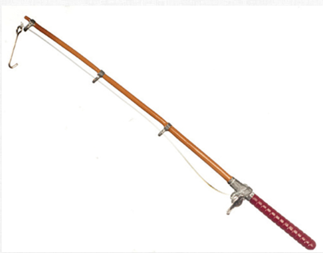 Fishing rod (series s-1)