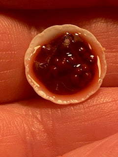 Handcrafted bowl of cranberry sauce