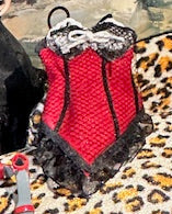 Bustier/corset and matching shoes and accessories