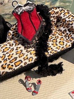 Bustier/corset and matching shoes and accessories