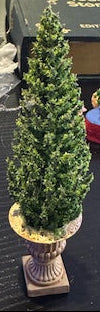 Evergreen Planter