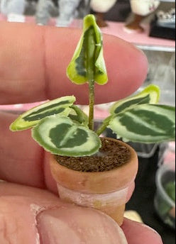 Handmade plant