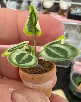 Handmade plant