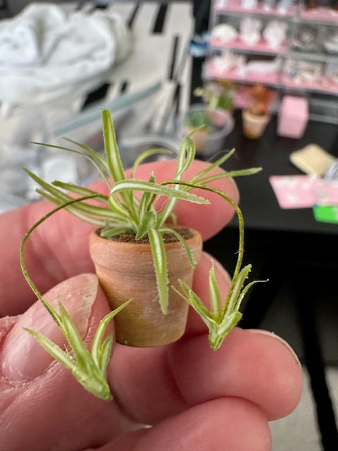 Handmade plant