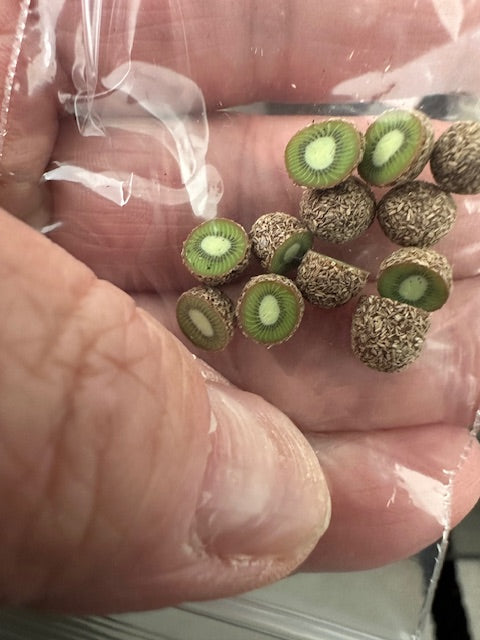 Handcrafted kiwi half-price is per pair (2)
