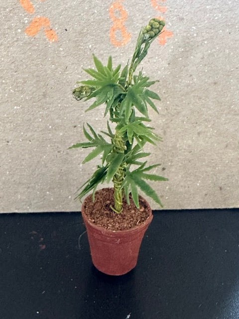 Handmade plant