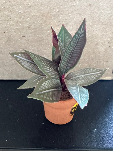 Handmade plant