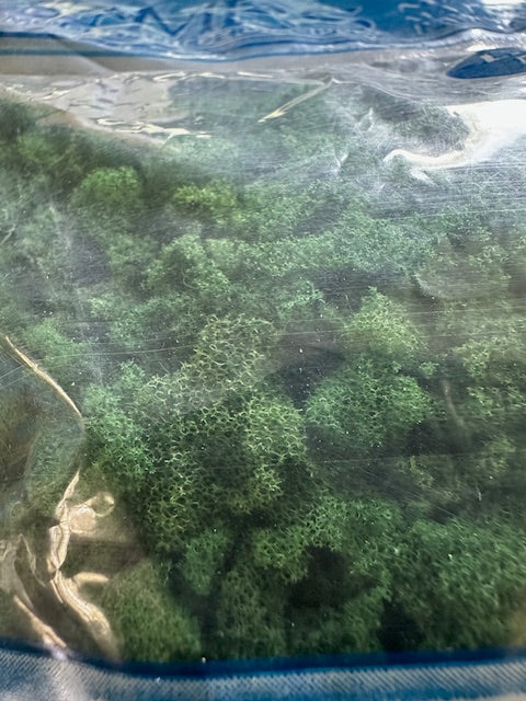Medium texture foliage-series l/s2
