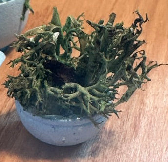 Beach centrepiece