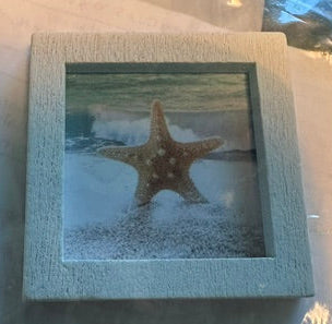Assorted beach pictures
