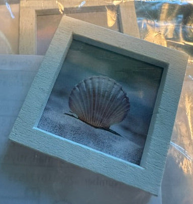 Assorted beach pictures