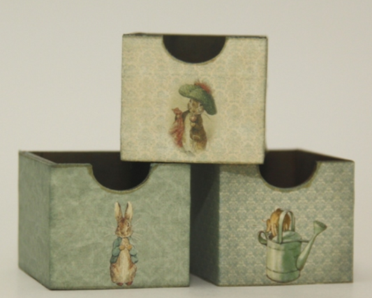 Beatrix Potter Crate set kit