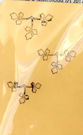 Assorted stencils of flowers and herbs by Angie Scarr