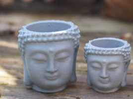 Buddha Plant Pot