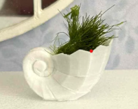 Coastal vase(seriesh1)