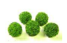 Round bush 3/4 inch diameter (series ls-1)-price per 5
