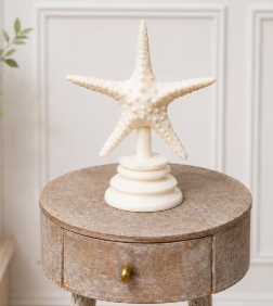 Starfish display