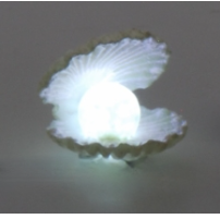 Clam shell Light