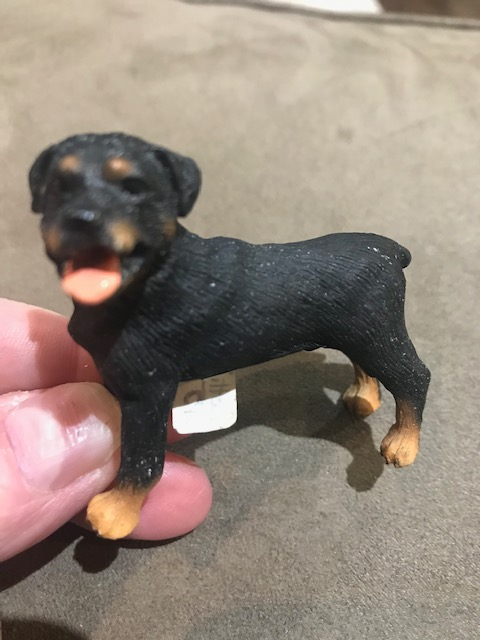 Rottweiler