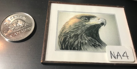 Eagle Picture in metal frame