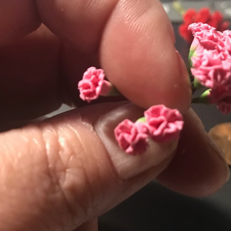 Assorted Carnations-Price per stem