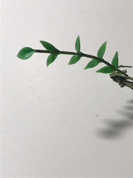 Assorted leaf stems-Priced per stem