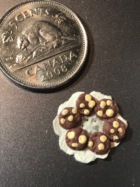 Plate of chocolate cookies