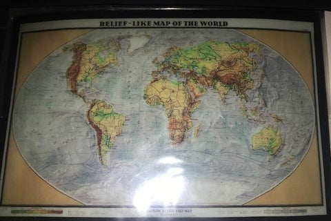 Map of the World REG PRICE $12.25 SALE