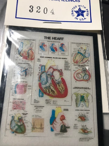 Assorted Medical Posters-printed on plastic