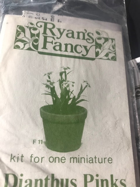 Assorted Ryan's Fancy Plants