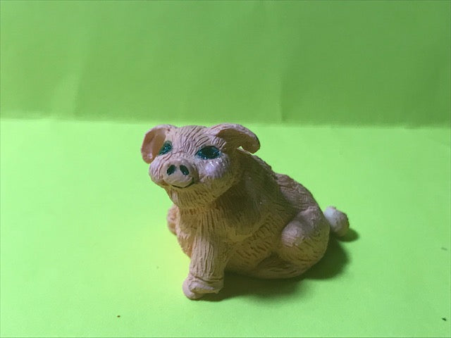 Pig