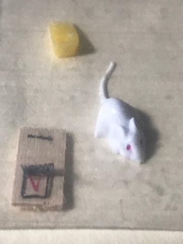 Mouse and trap