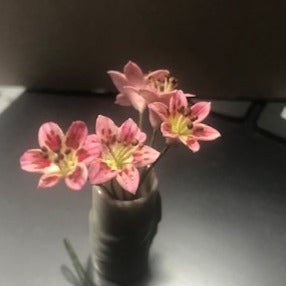 Assorted Flower and Leaf stems-Price PER stem