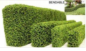 Hedge 1 5/8 inch x 12 inch